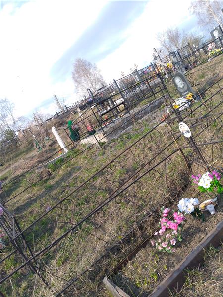 Кравцов Николай Алексеевич