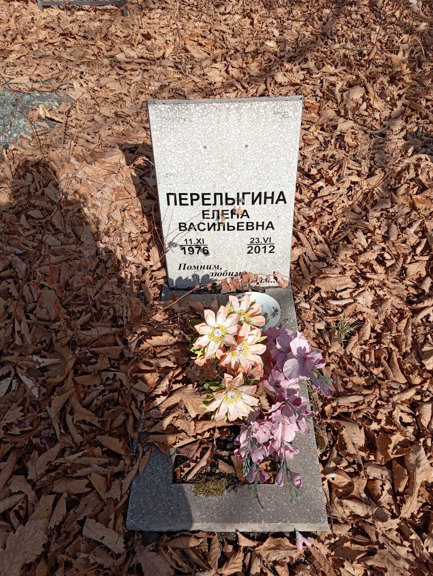 Перелыгина Елена Ваильевна