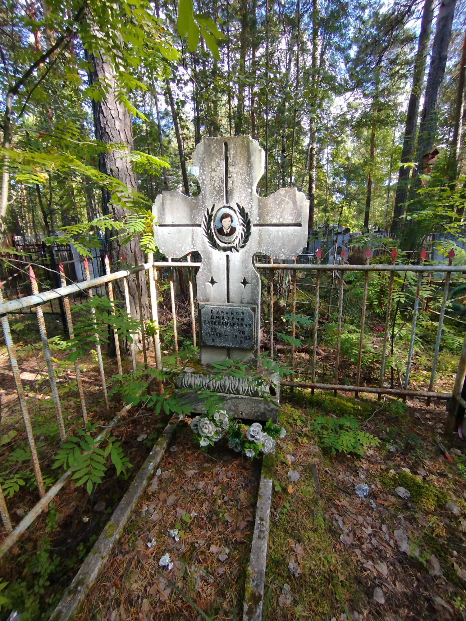 Суранов Дмитрий Александрович