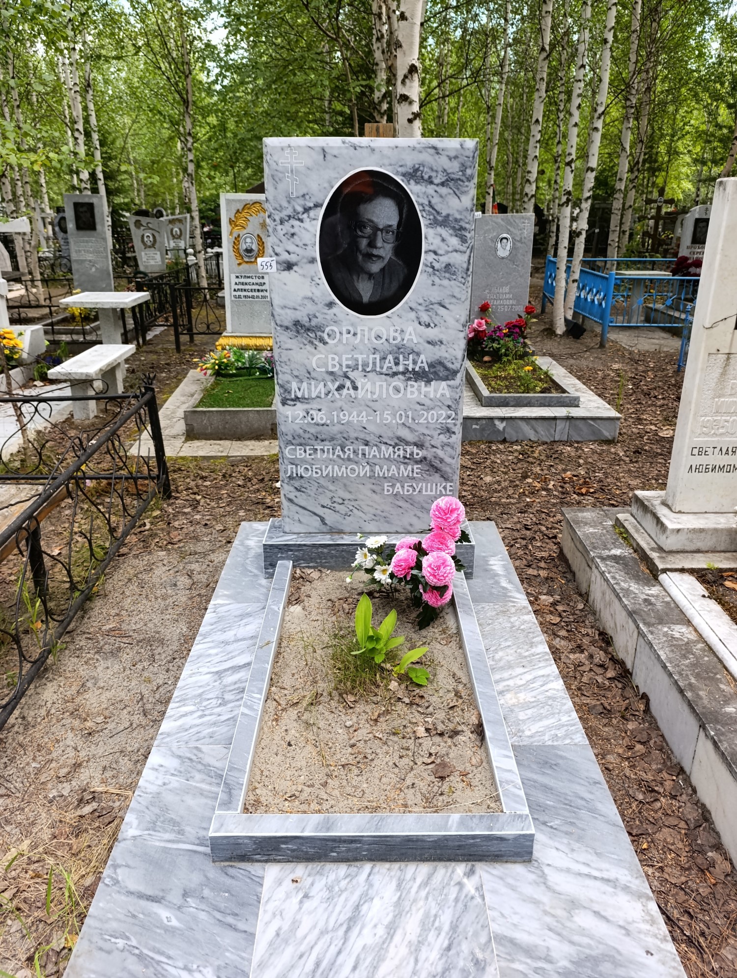Орлова Светлана Михайловна