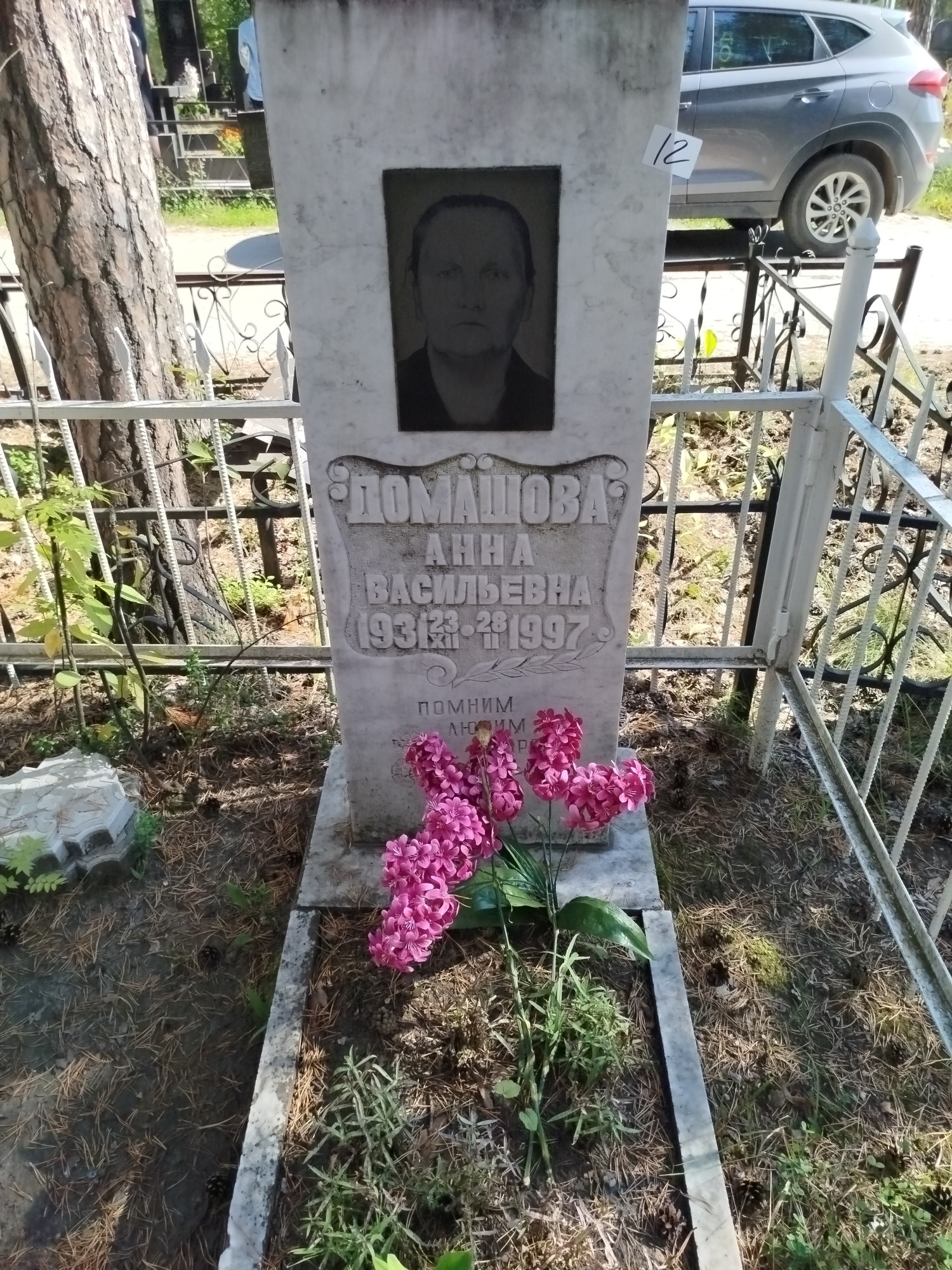 Домашова Анна Васильевна