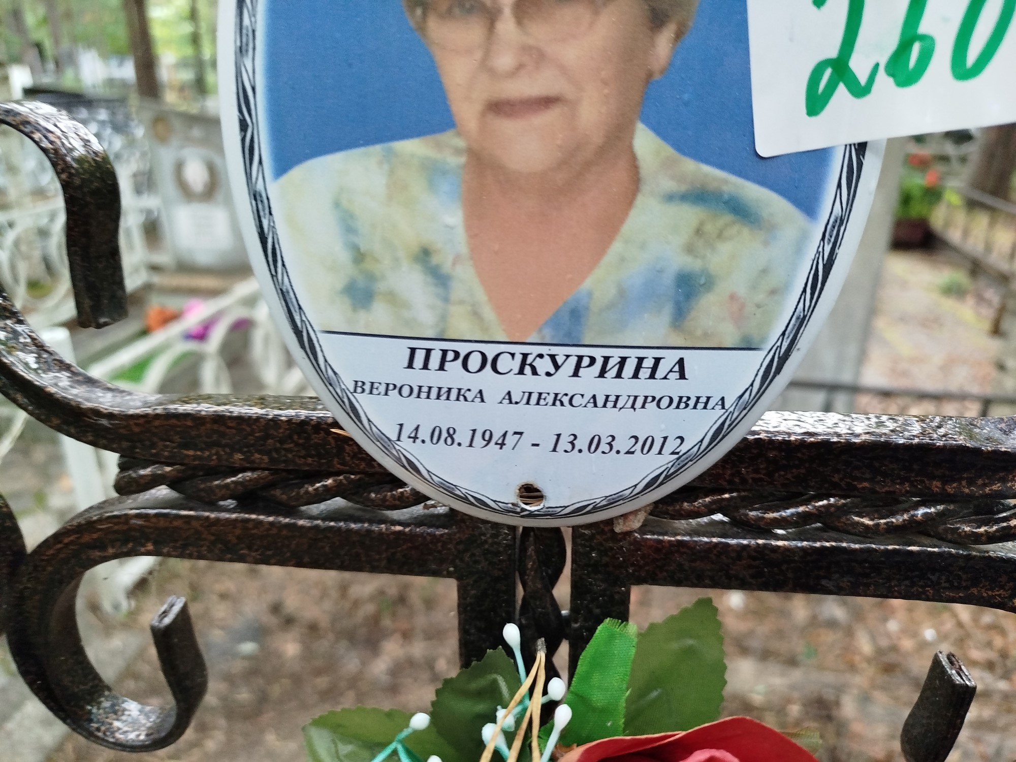 Проскурина Вероника Александровна
