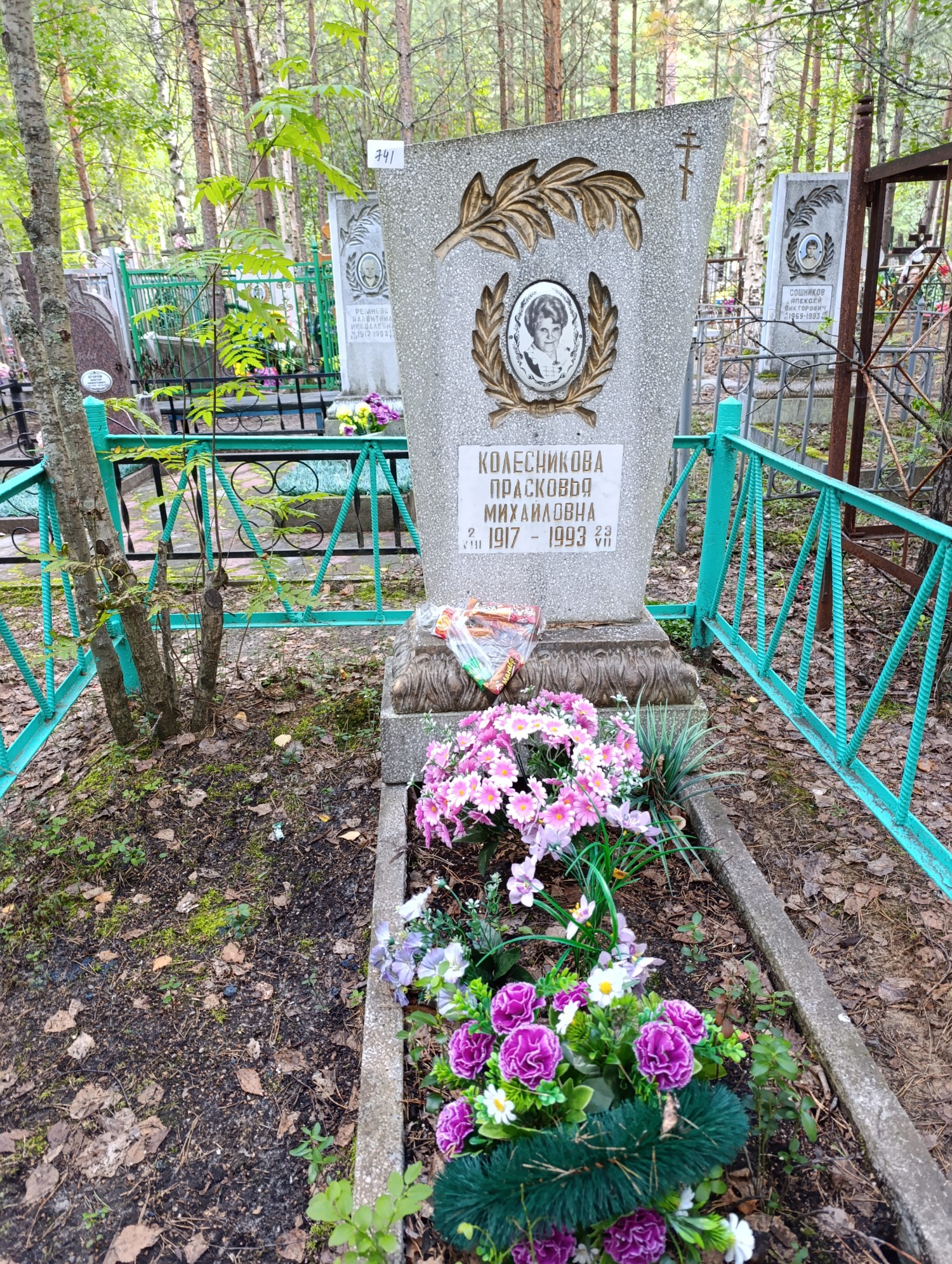 Колесникова Прасковья Михайловна