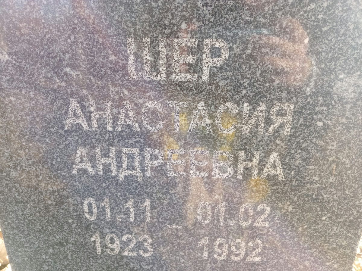 Шер Анастасия Андреевна