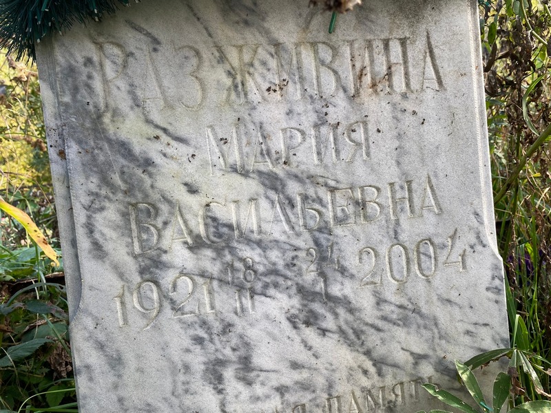 Разживина