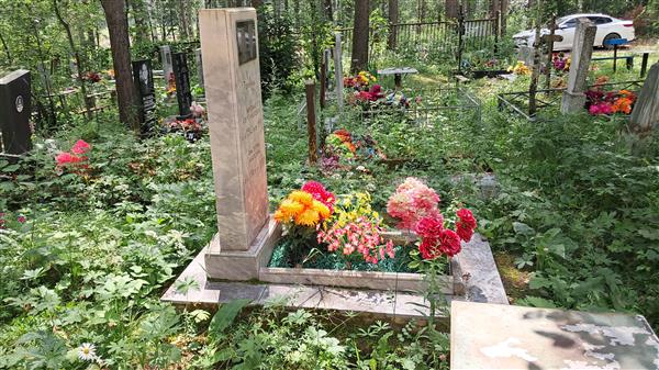 Теплицын Николай Александрович