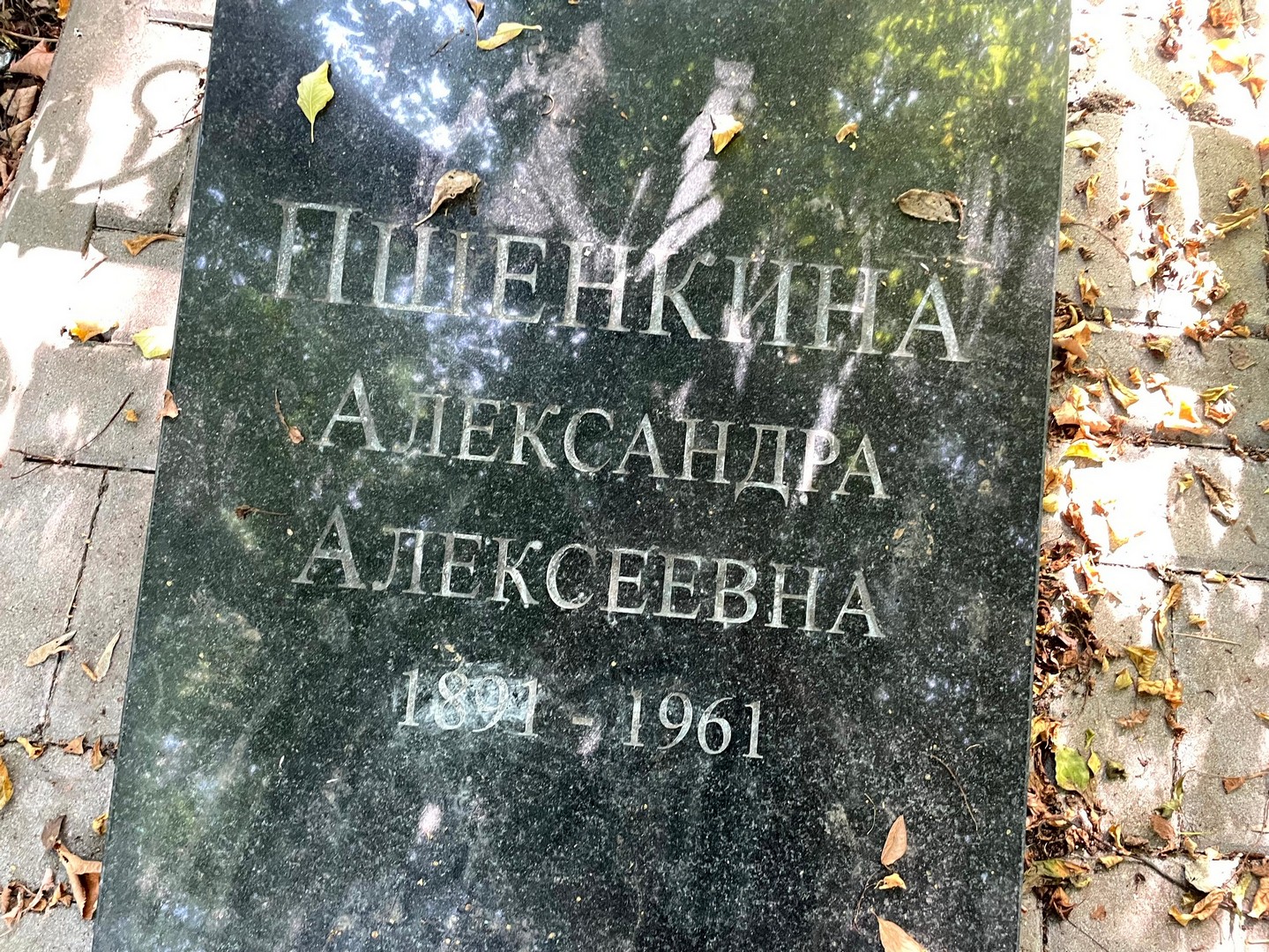 Пшенкина Александра Алексеевна
