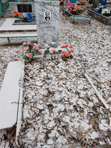 Киселёва Анна Васильевна