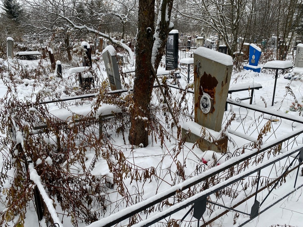 Цепелин Николай Дмитриевич