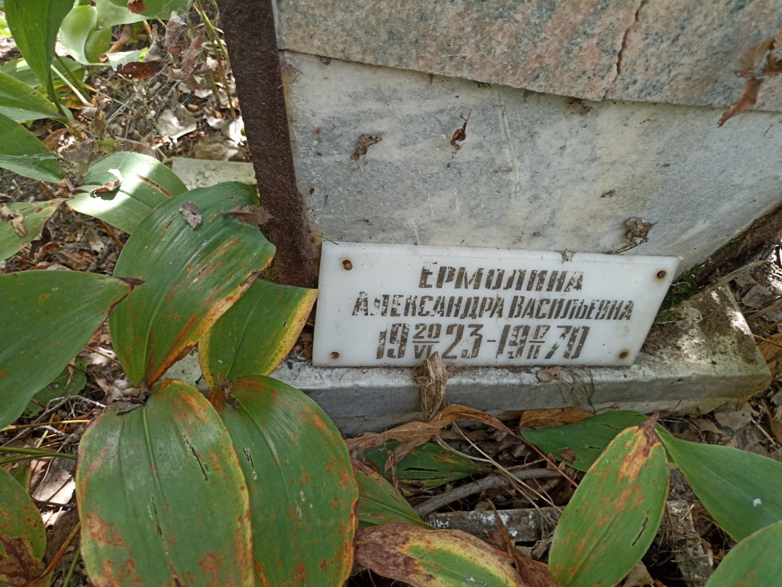 Ермолина Александра Васильевна