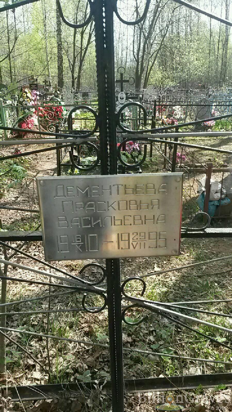 Дементьева Прасковья Васильевна