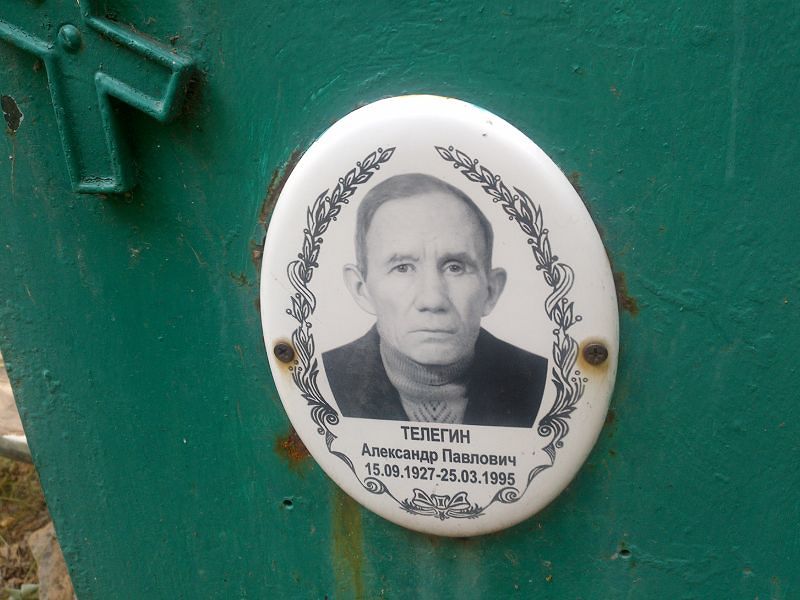 Телегин