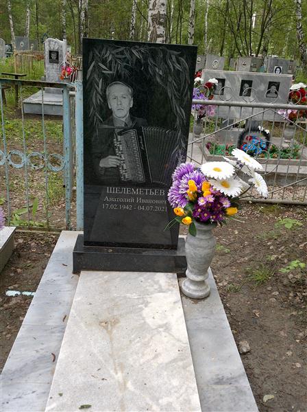 Шелеметьев Анатолий Иванович