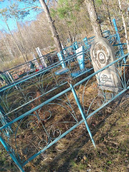 Тен Анатолий Петрович