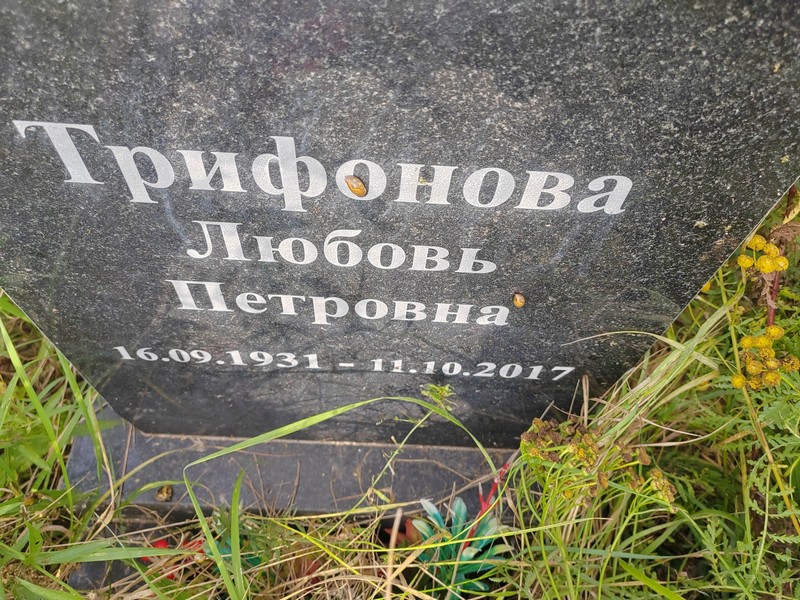 Трифонова