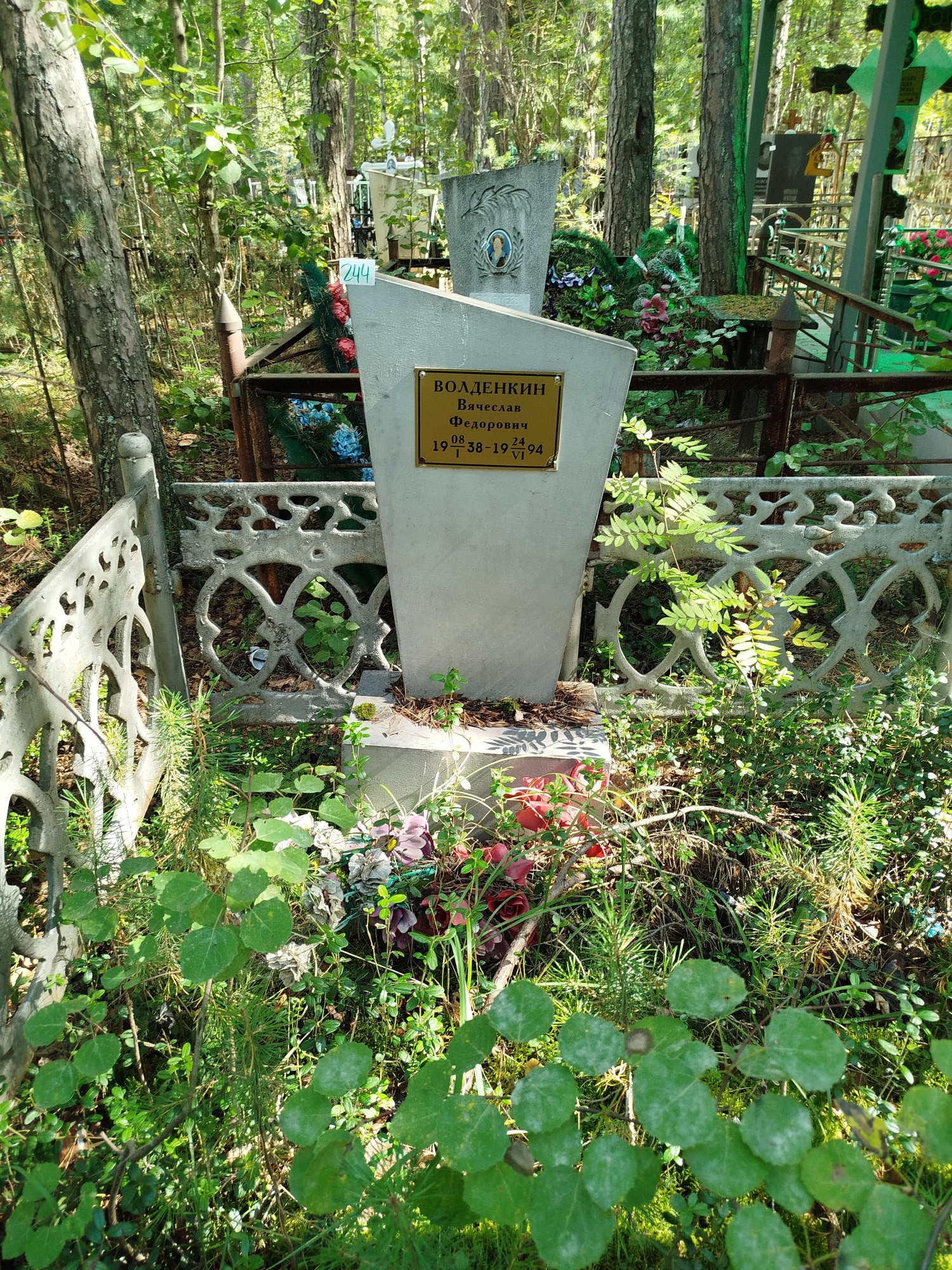 Волденкин Вячеслав Федорович
