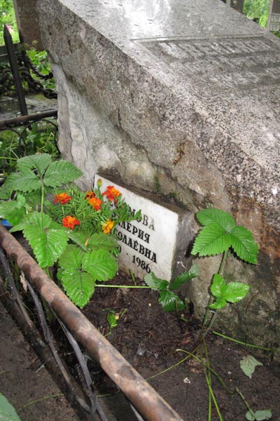 Ефимова В. Н.