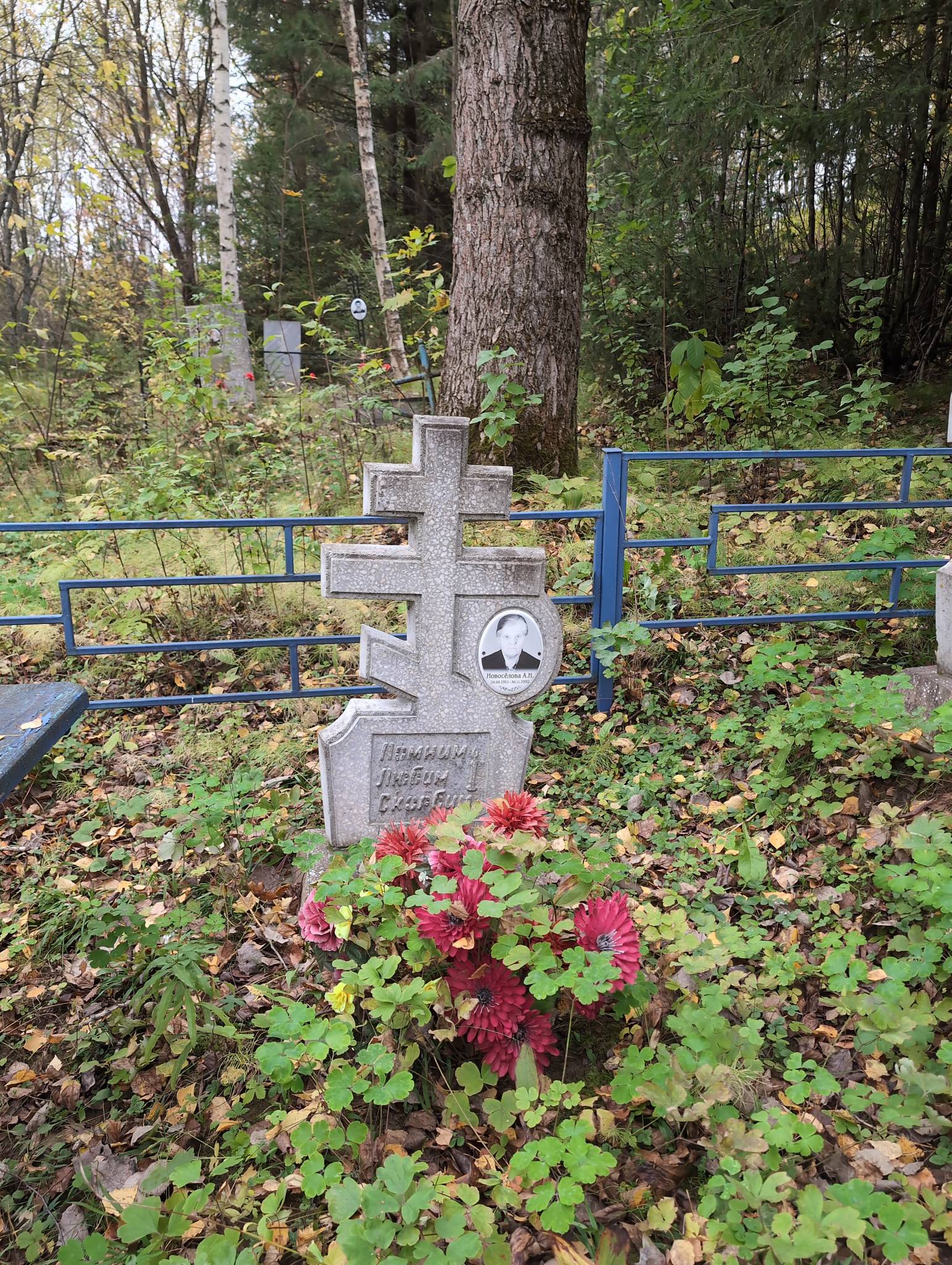Новосёлова А. М.