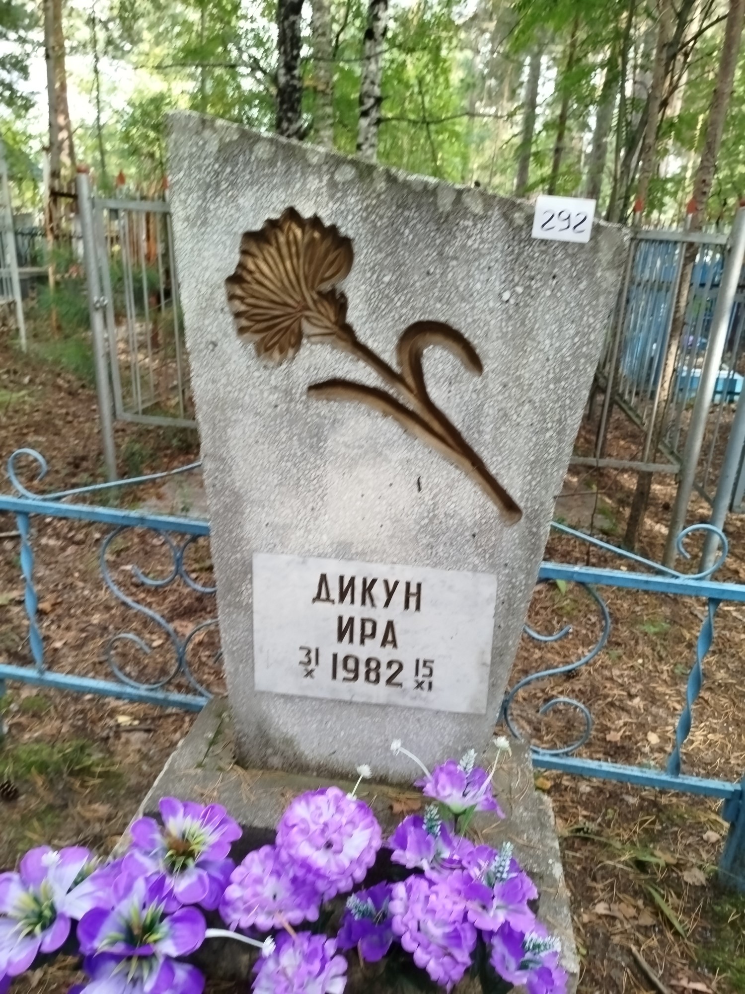 Дикун Ира