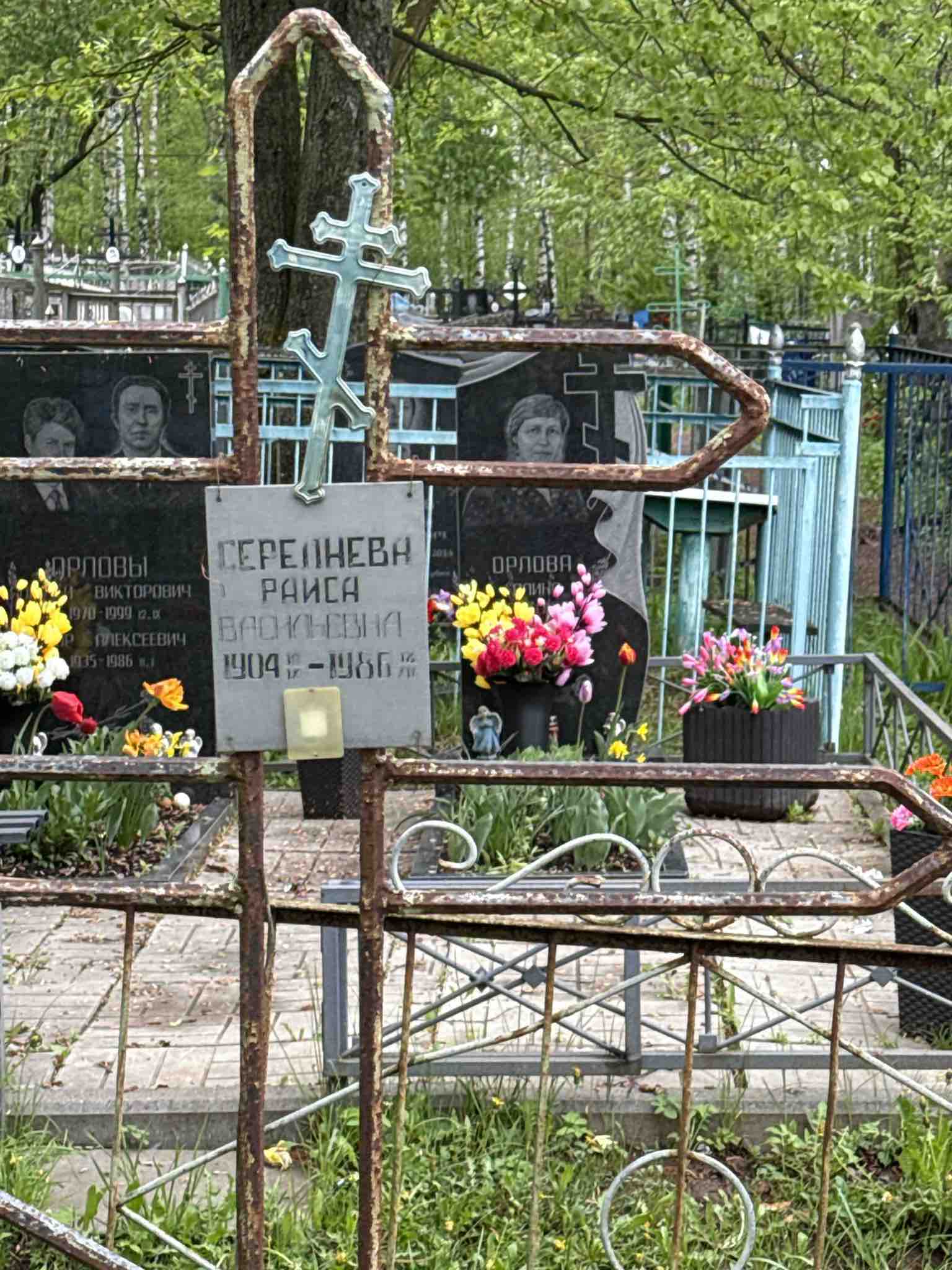 Середнева Раиса Васильевна