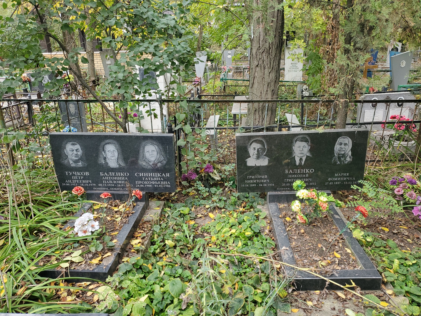 Баленко Антонина Павловна
