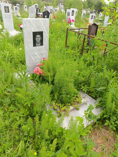 Ганюшкин Александр Семёнович