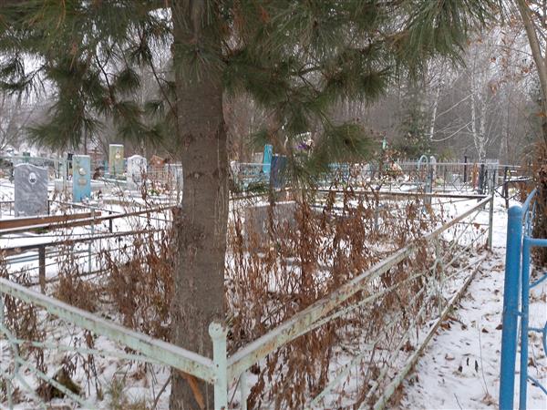 Власов Николай Романович