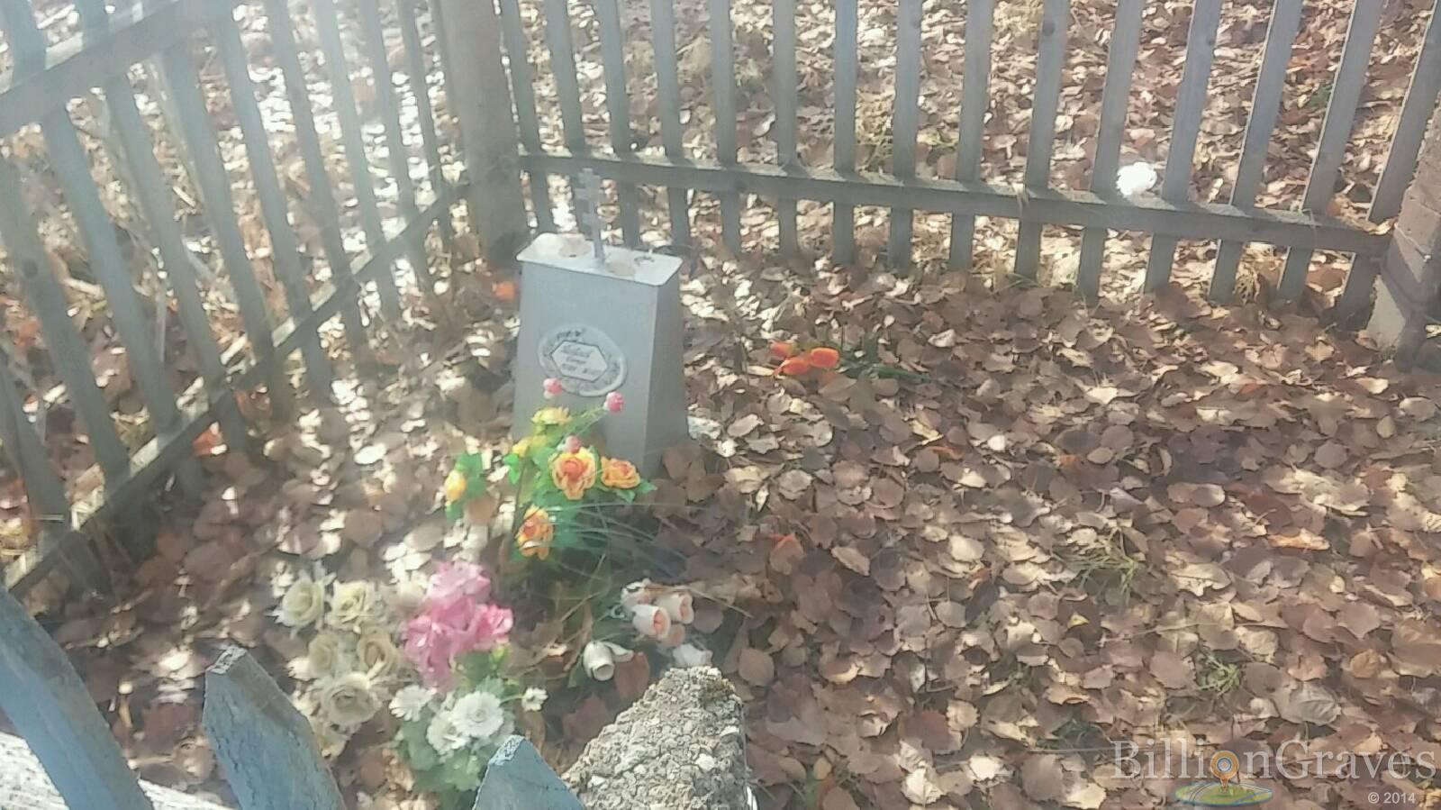 Павлов Алексей