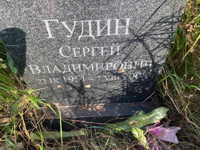 Гудин