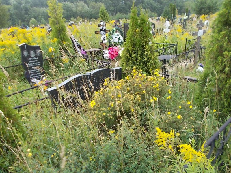 Субботин Виктор Иванович