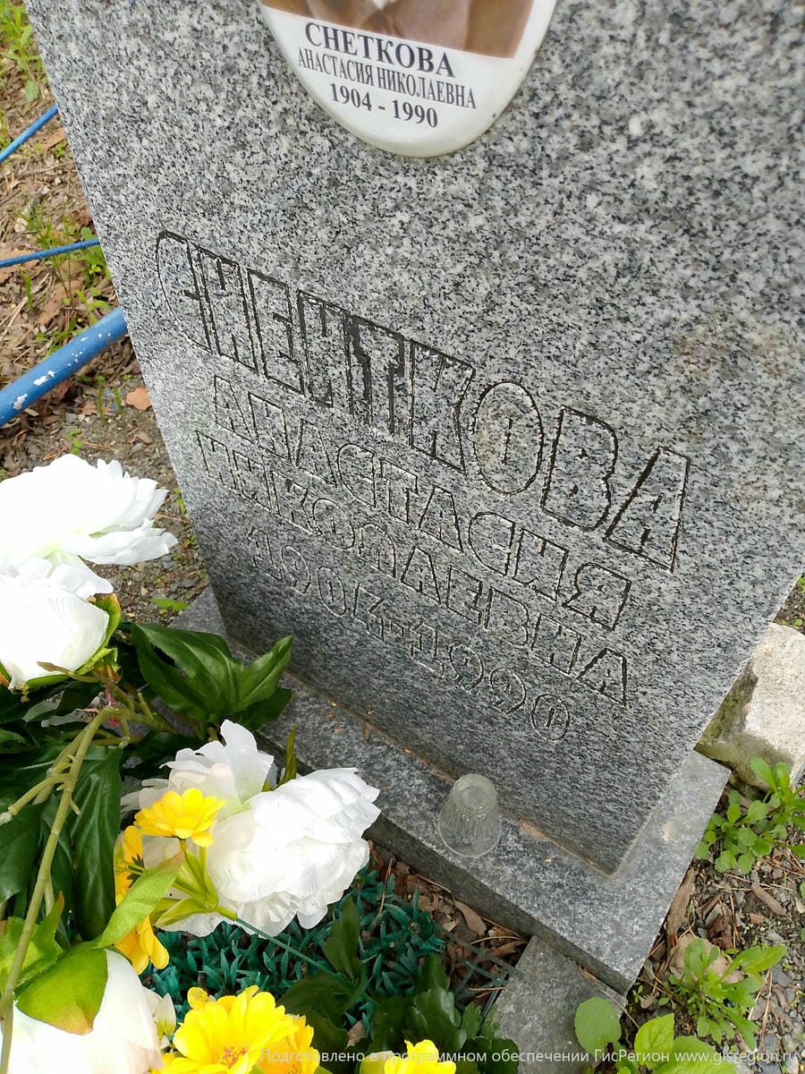 Снеткова Анастасия Николаевна