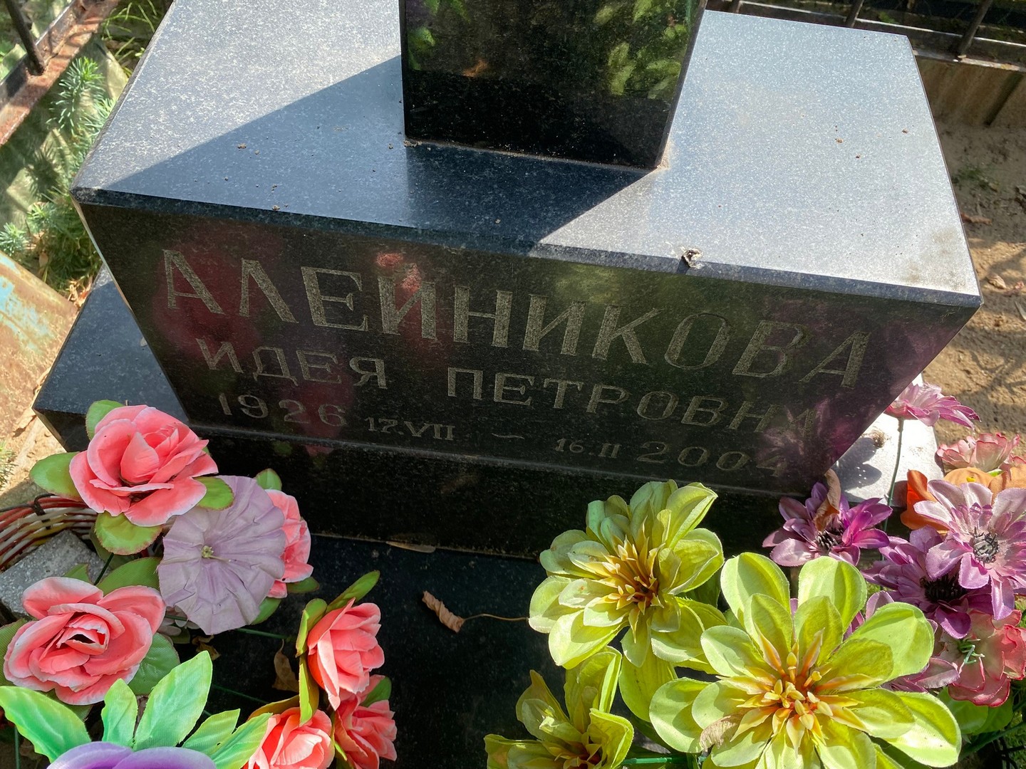 Идея Алейникова Петровна