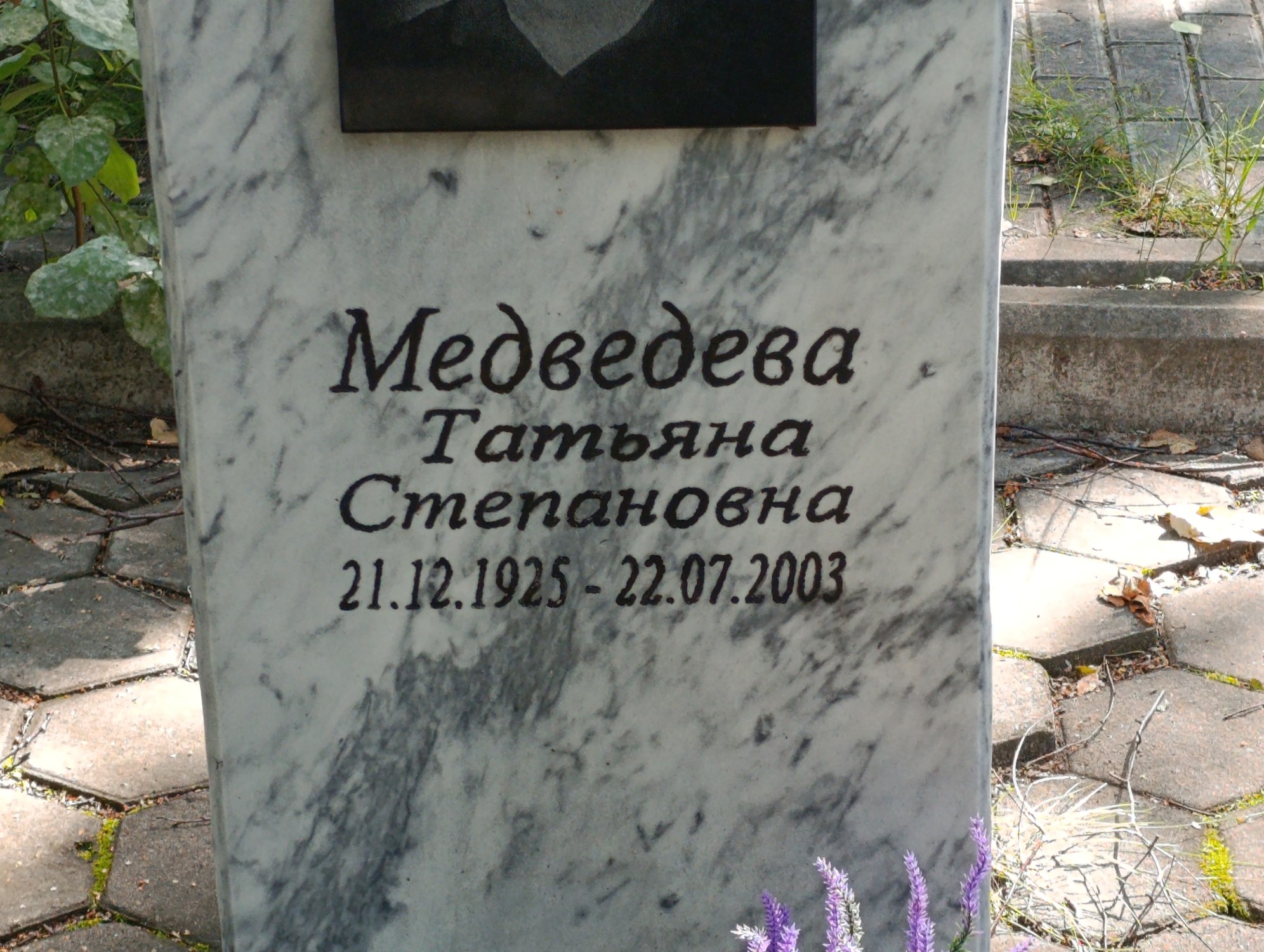 Медведева Татьяна Степановна