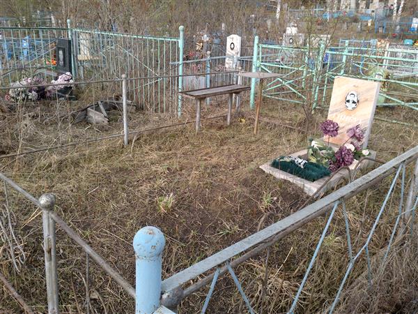 Гинбут Николай Иванович