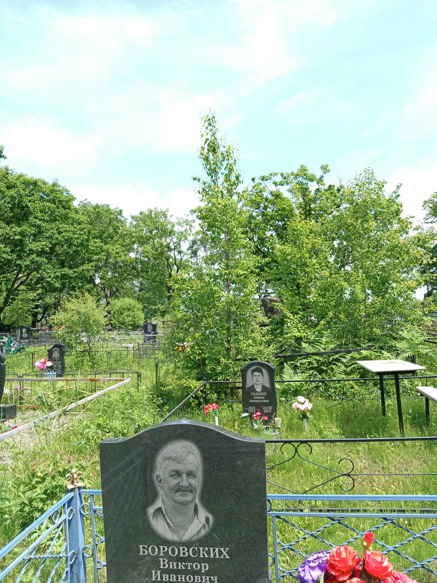 Боровских Виктор Иванович