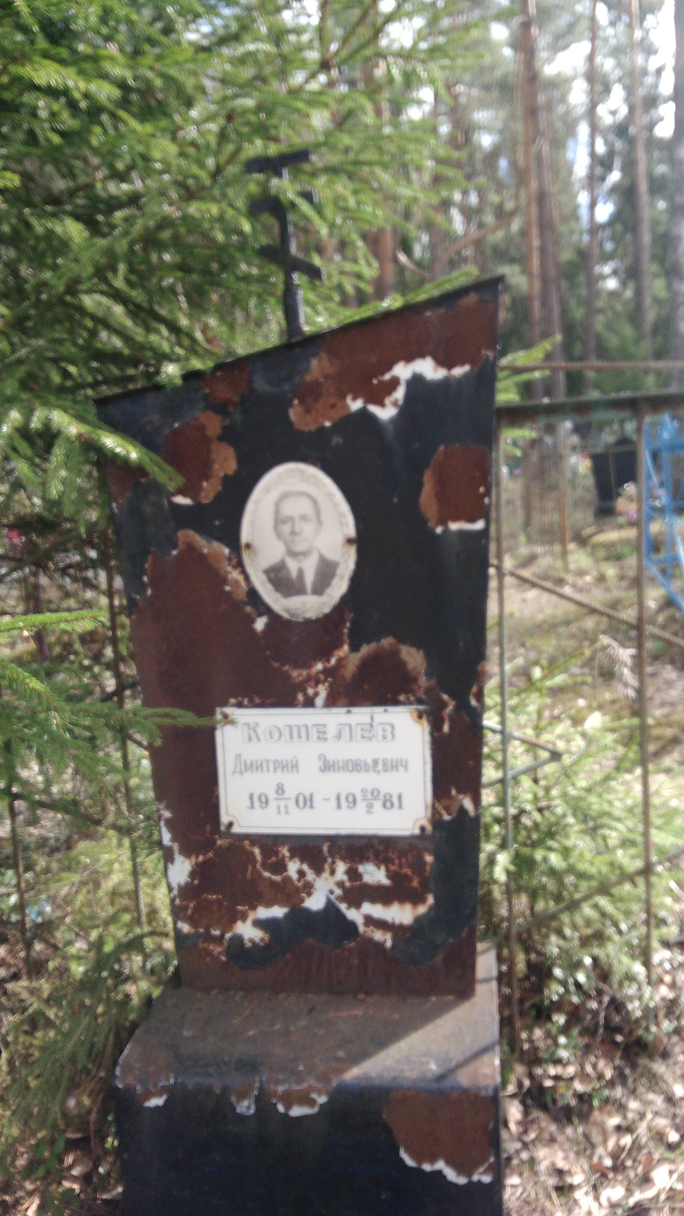 Кошелев Дмитрий Зиновьевич