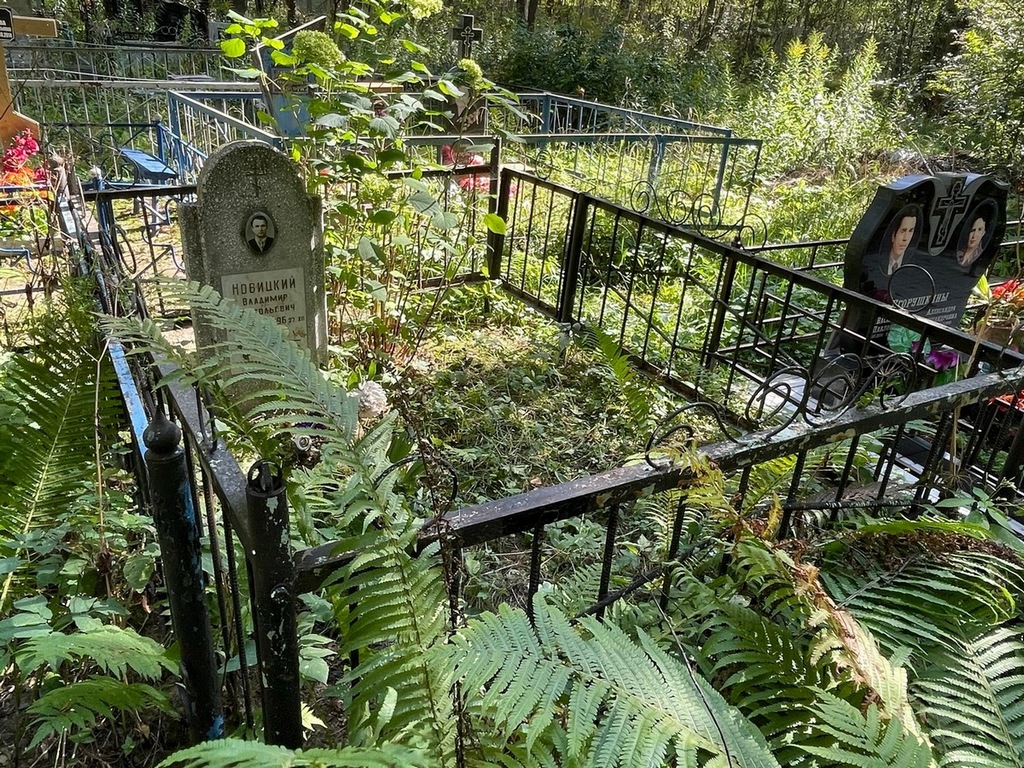 Новицкий Владимир Анатольевич