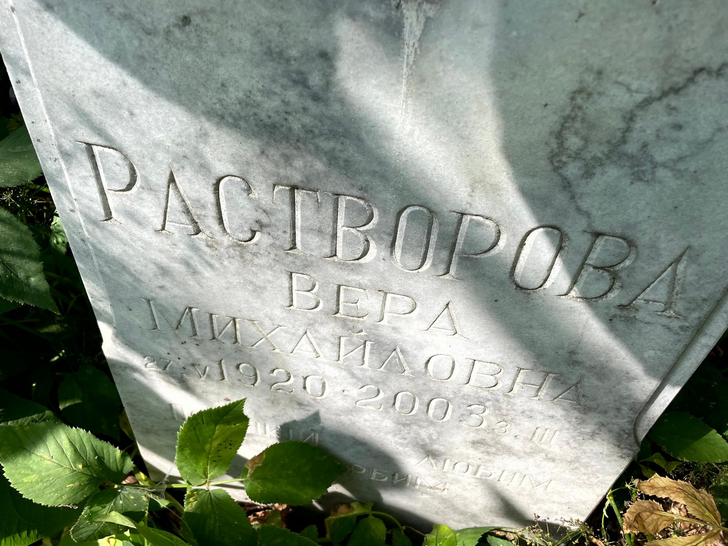 Растворова