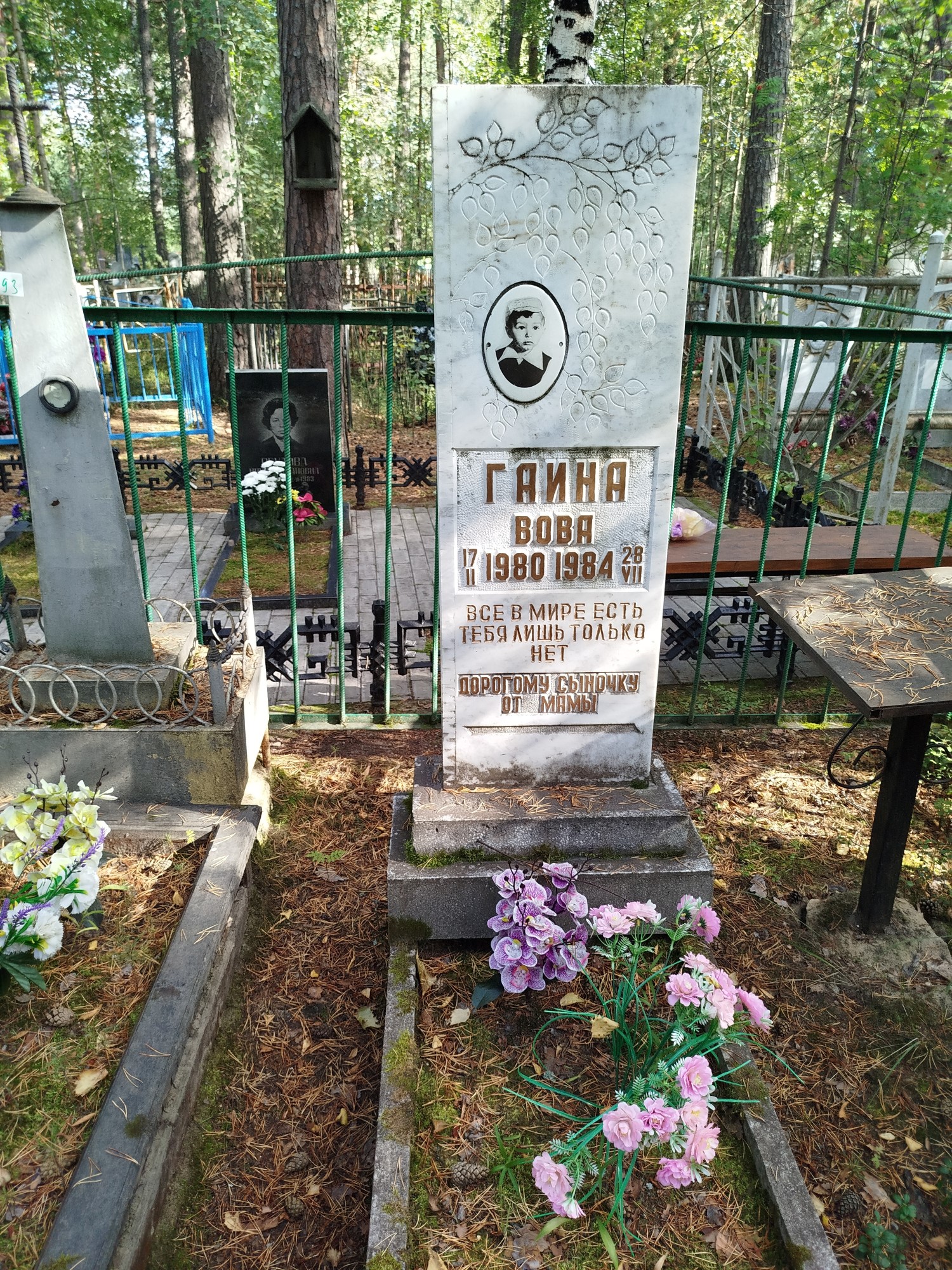 Гаина Вова