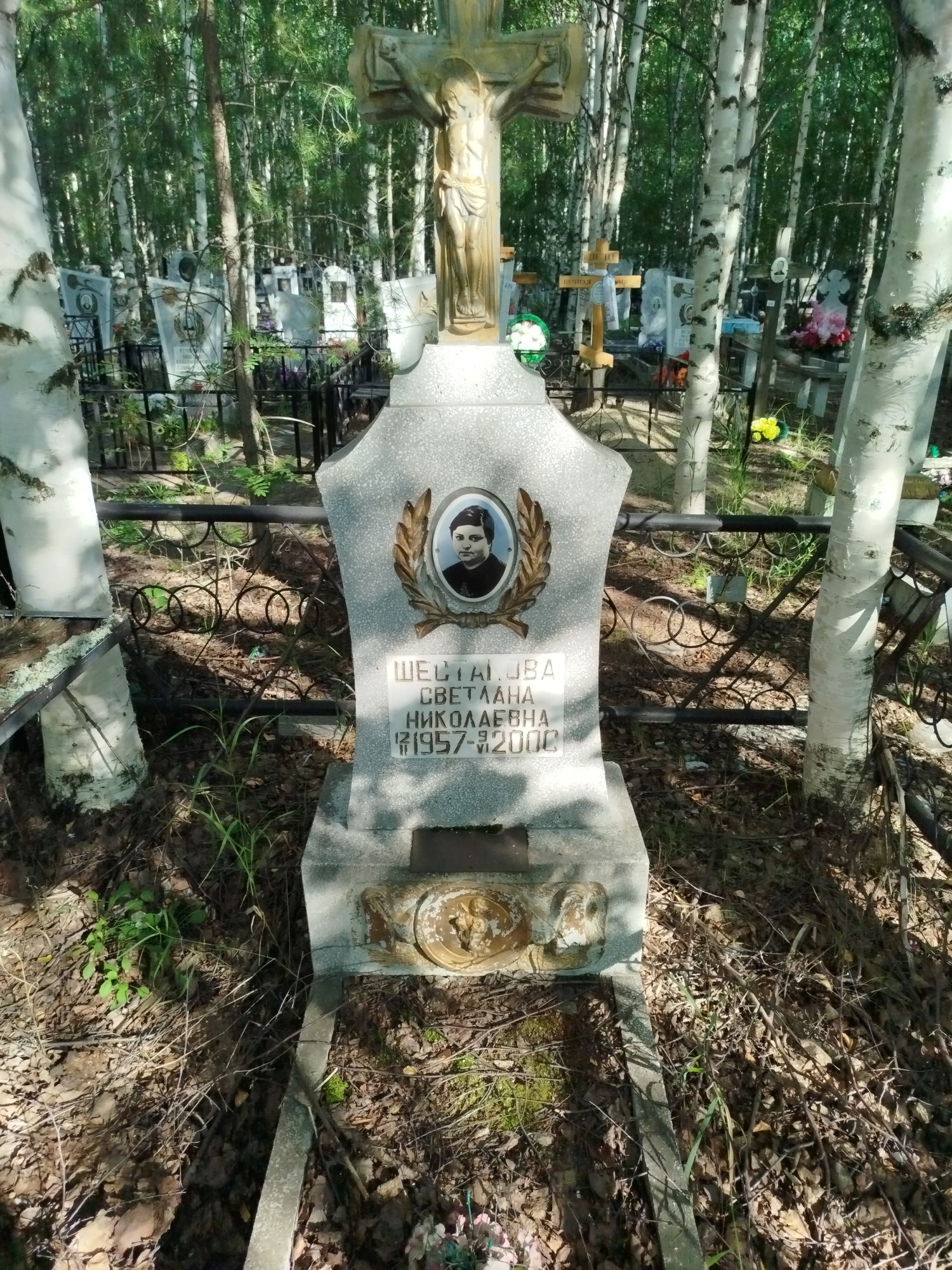 Шестакова Светлана Николаевна