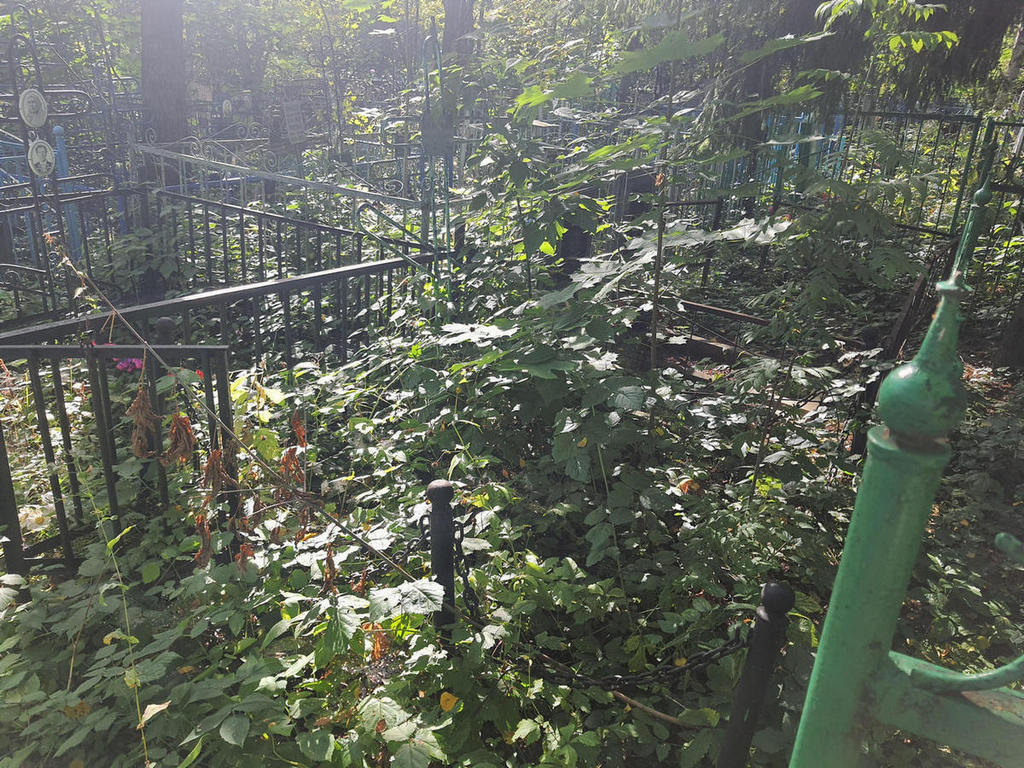Костромина Анастасия Лукьяновна