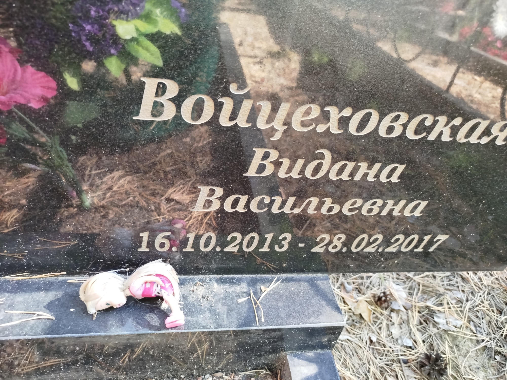 Войцеховская Видана Васильевна