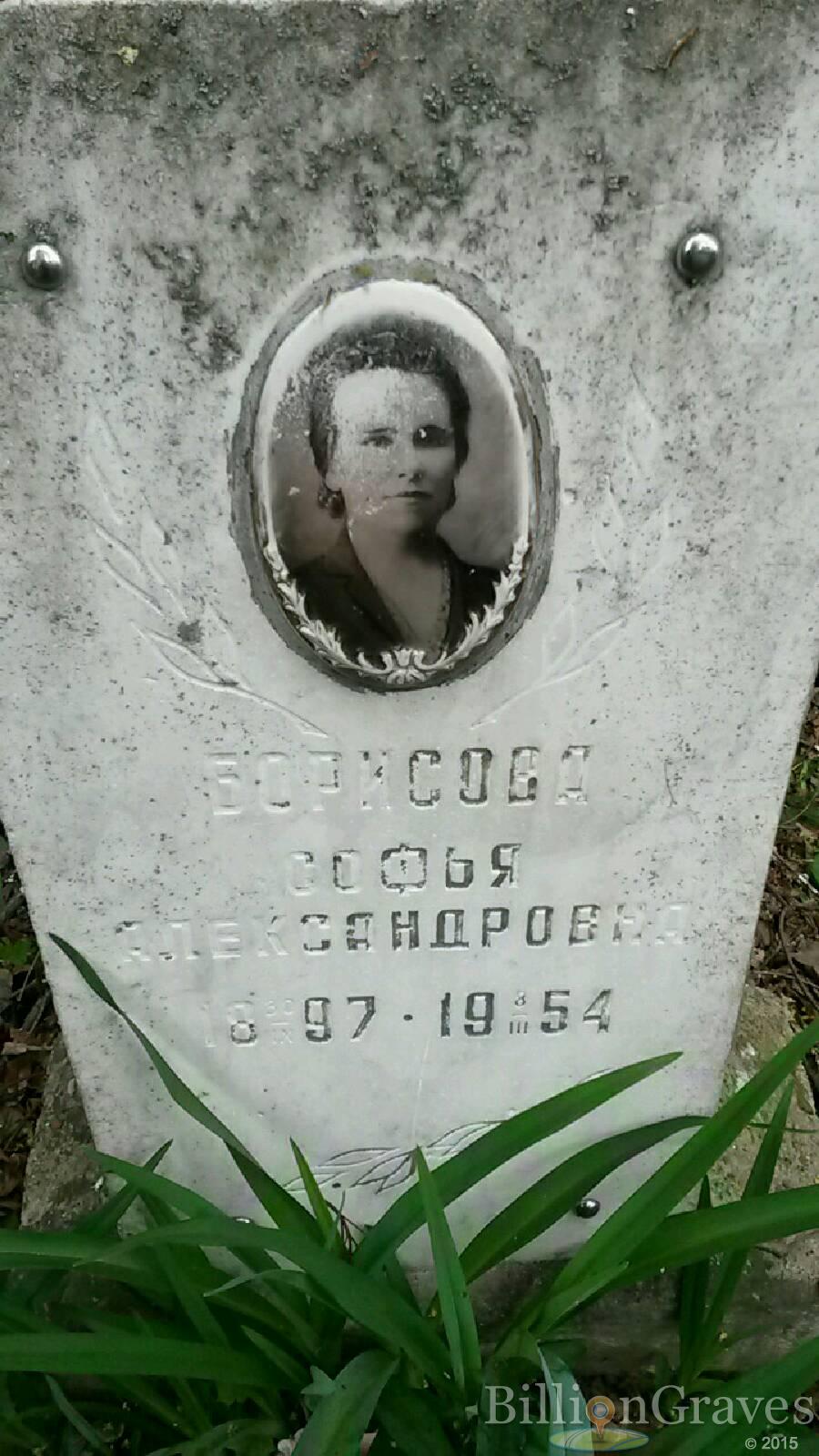борисова софья александровна