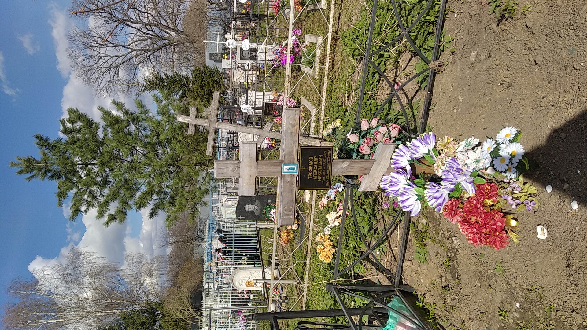 Трофимов Александр Николаевич