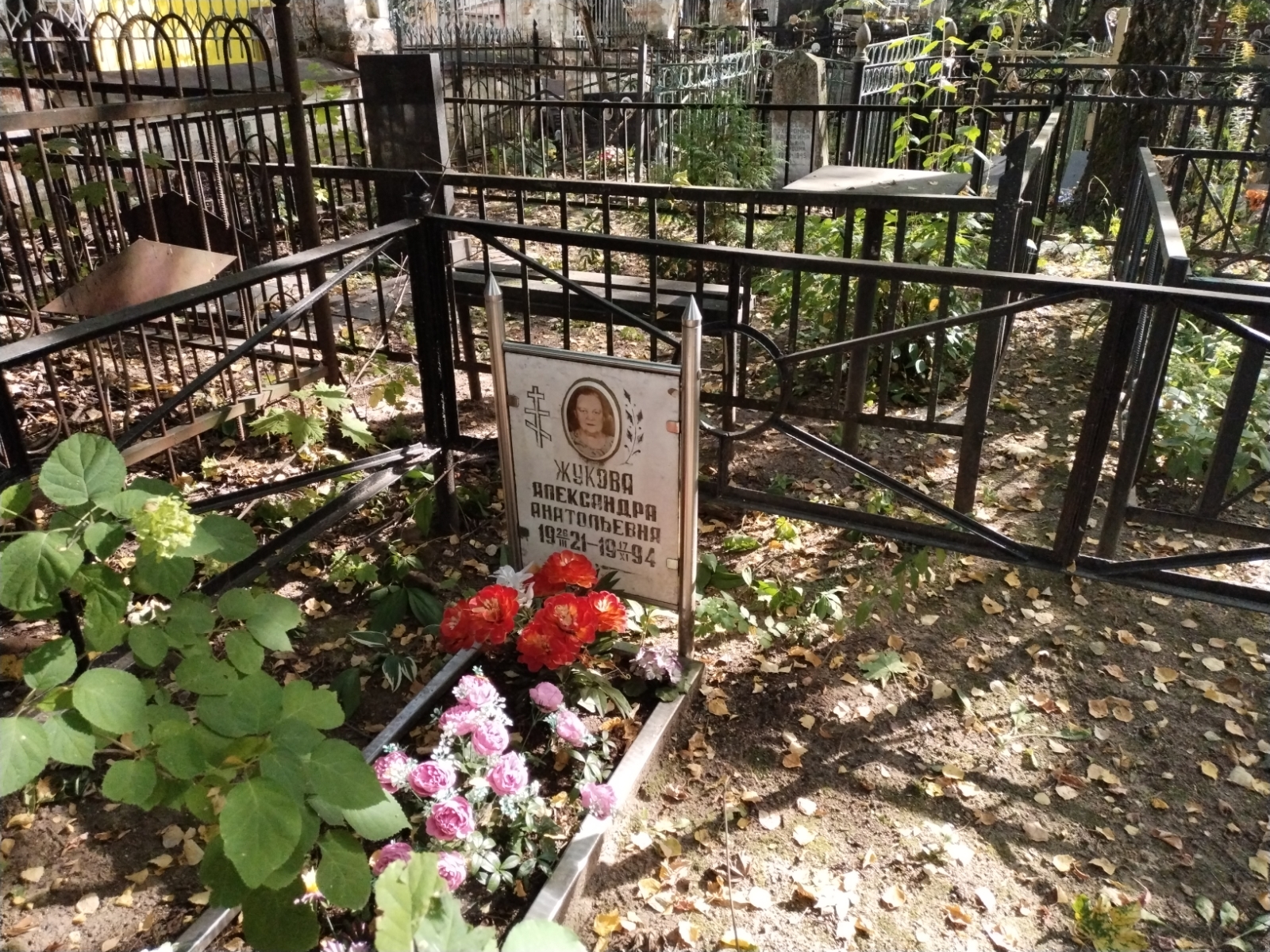 Жукова Александра Анатольевна