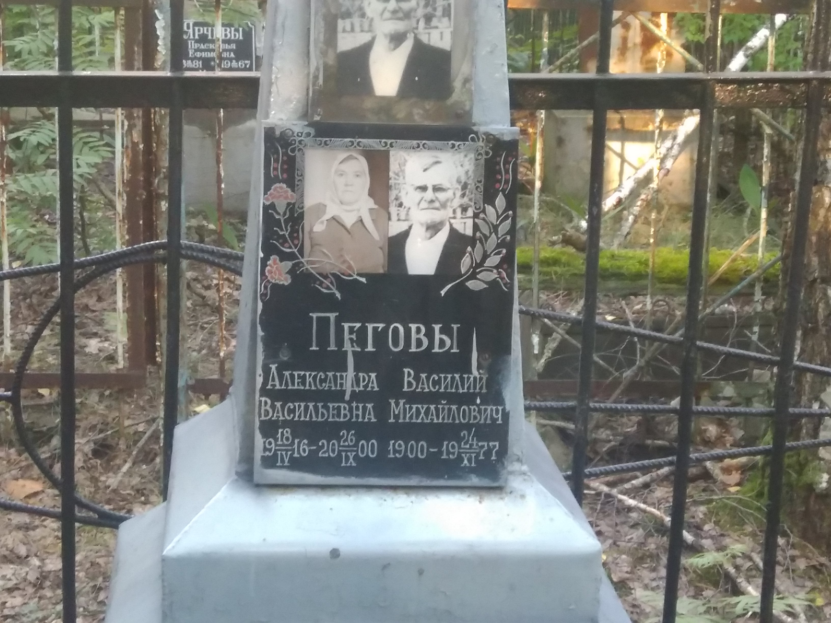 Пегова Александра Васильевна