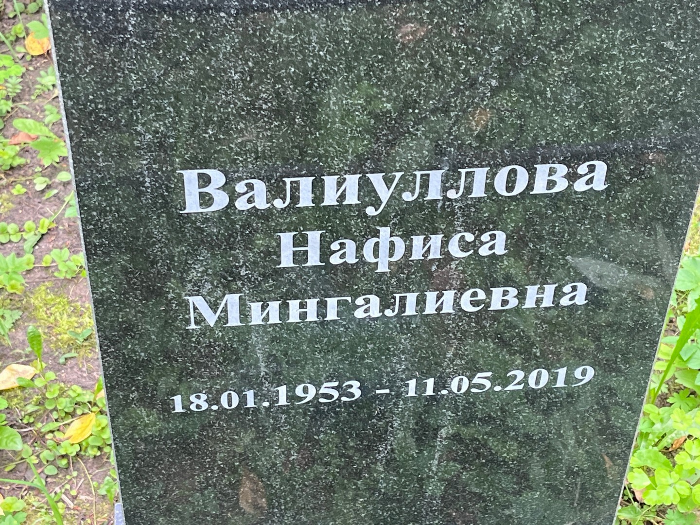 Нафиса Валиуллова Мингалиевна