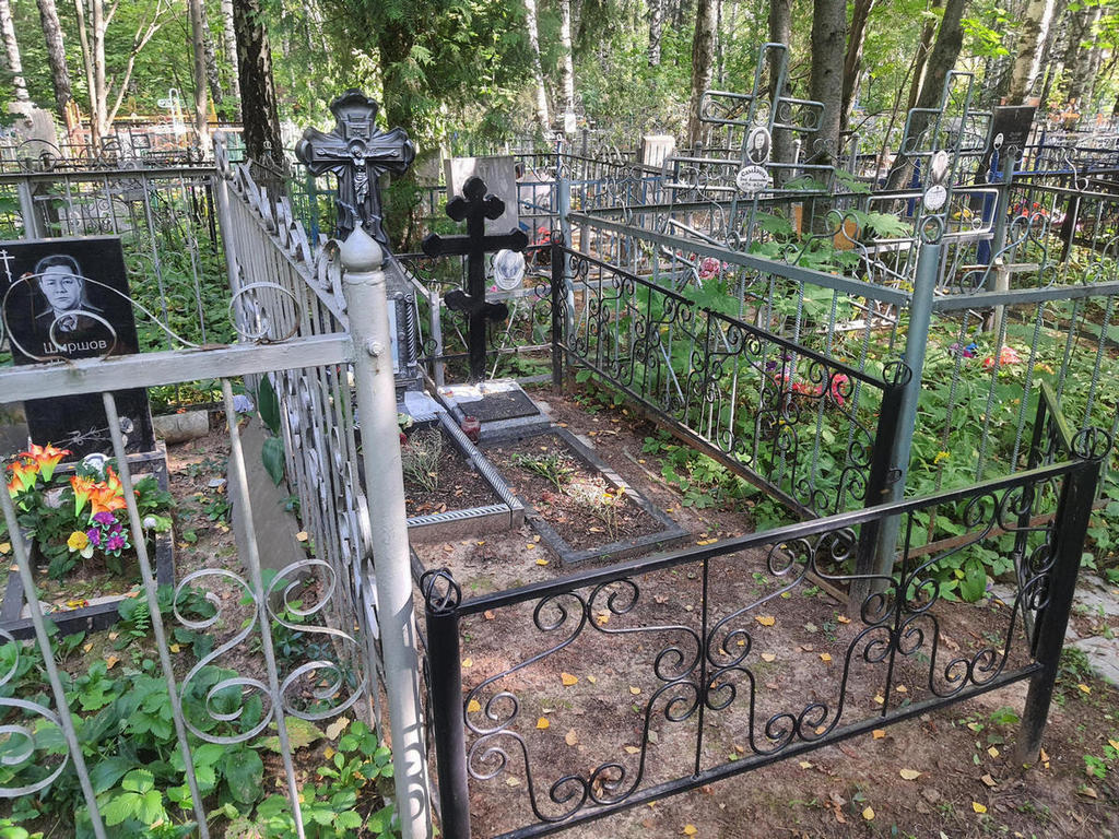 Гнеушева Анастасия Петровна