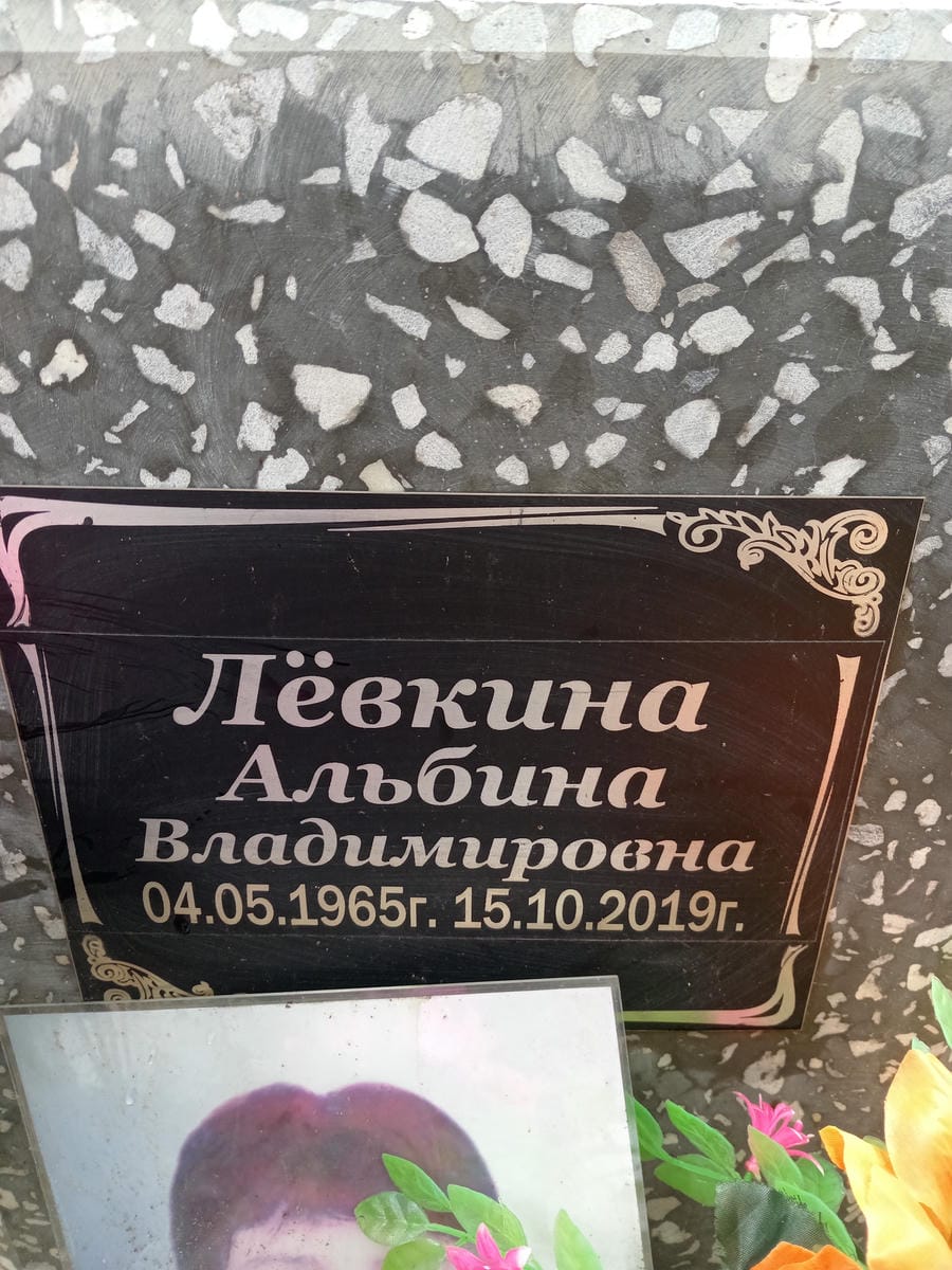 Левкина Альбина Владимировна
