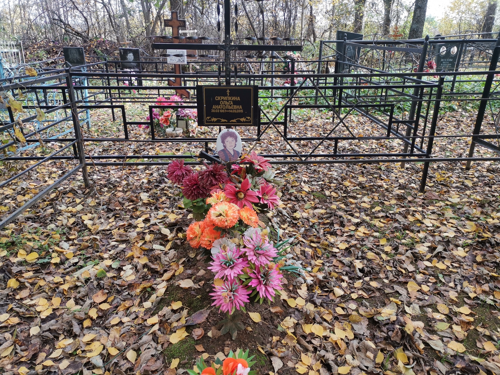 Скрипкина Ольга Анатольевна